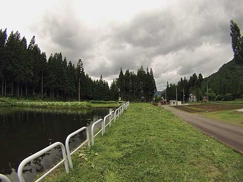 ついでにため池の農園の畑側の周囲を刈りました。