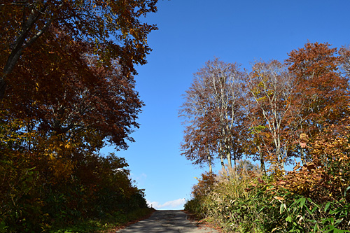 紅葉は、まだ１０月なのに最高でした。