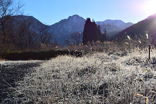 お天気が良いので、霜で真っ白でした。