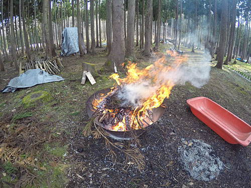 杉の枯葉を無煙炭化器で焼却しました。