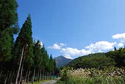 真っ青な空が気持ちいいです