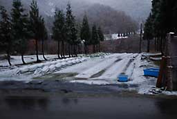 お天気通り、午後から雪になりました