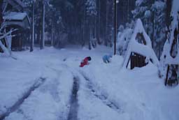 子供たちは、さっそく雪遊びをしていました