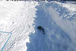 さっそく雪を掘って「あまだま」を見つけました