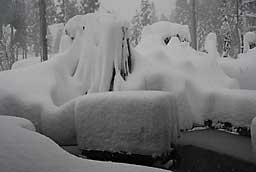 さすが豪雪地帯、凄い雪でしょ