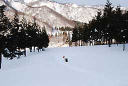 「あまだま」のキャベツ畑は、また雪に埋まってしまいました