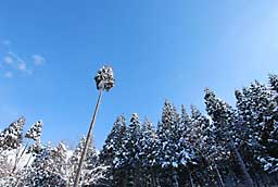 同じ新潟県でも新潟市の方は、大雪だそうです