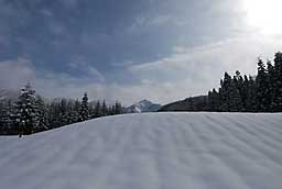 午前中とっても雪景色がきれいでした