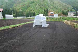 トマト畑の屋根を雨対策のためバージョンＵＰしてみました