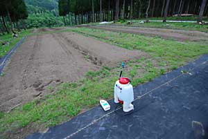 初期除草のため除草剤を散布しました