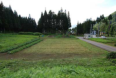 ２時間以上かかって、無事伐採完了しました。