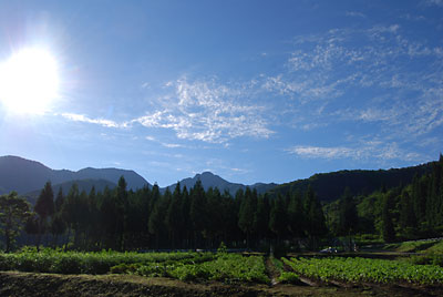 空も夏空になりました。