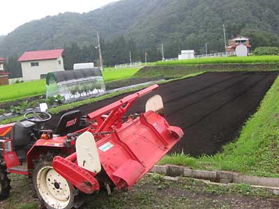 種まきのあと、すぐトラクターで２０ｃｍ程度耕耘します。