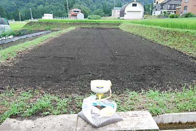 種は、栃木在来です。「均太」君で種を撒きました。