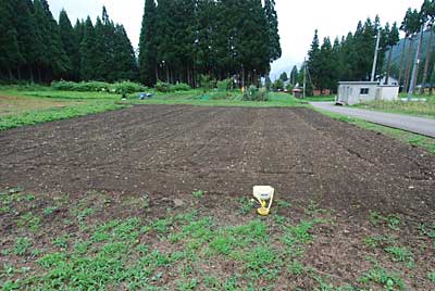 もう一カ所は、一昨年からお借りしているため池の下の畑です。