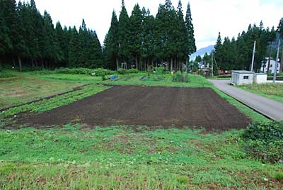 ため池の下の畑です。