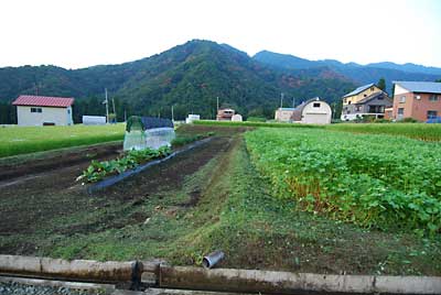 トマト畑と蕎麦畑の草刈りをしました。