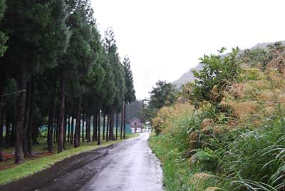 野菜たちにとっては、恵みの雨になりました。