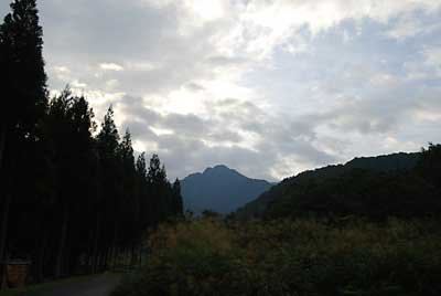 今朝は、小雨模様です。