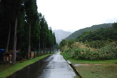 朝は、雨降りです。