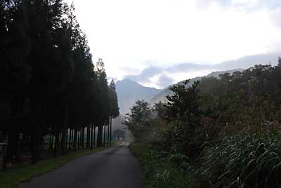 今日もあんまりパッとしないお天気です。