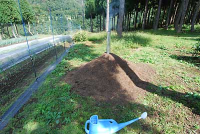 被せた煙突か隠れるくらいまで蕎麦殻を敷き詰めます。