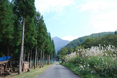 大源太山の山頂付近の紅葉が始まって来ました。