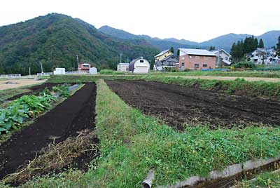 耕耘完了しました。