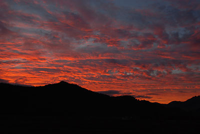 今日は、夕焼けがきれいでしたよ～。