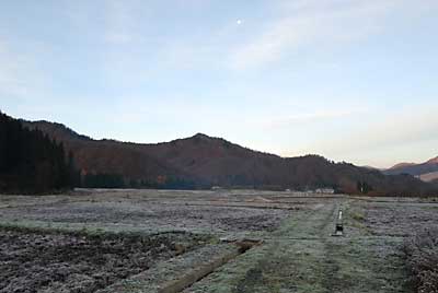 今朝は霜で真っ白になりました。