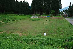 ５月の頃の借地