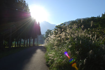 今日は、林業三昧の一日になりそうです。