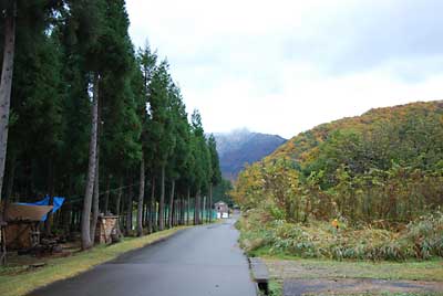 今朝は、大源太山の半分くらいまで雪で白くなりました。