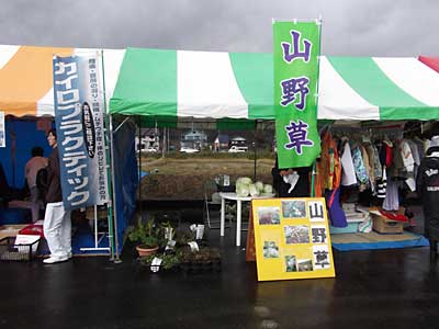 湯沢の山野草のお店です。