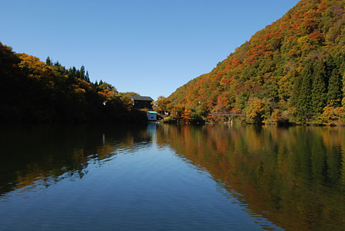 紅葉がみごとです！！