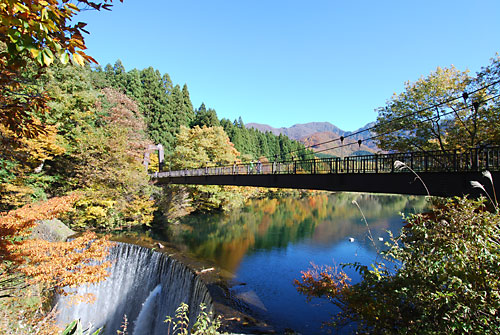 今日が、紅葉の最高潮だったと思います。