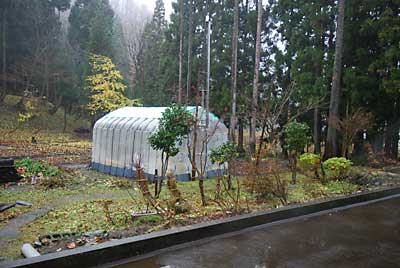 雪囲いは、ハウスの前がもう少し残っています。