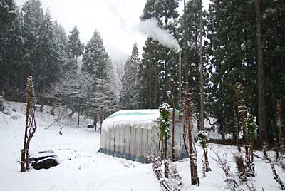 朝方にかけて雪が降りました。