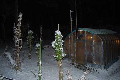 昨夜からの雪は、大したことはありませんでした。