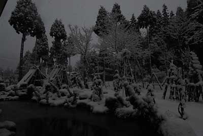 朝からの雪で、１０ｃｍほどの積雪になりました。