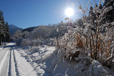 快晴の雪景色は最高です！！