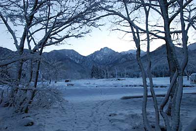 樹間からの大源太山