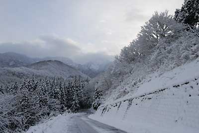 大源太山は雲に隠れてしまいました。