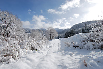 雪原が絶景です。