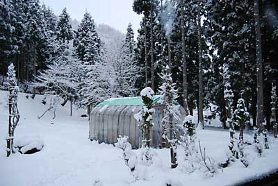 朝起きると雪が１０ｃｍほど積もっていました。