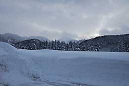 久しぶりに大源太山の山頂が拝めました