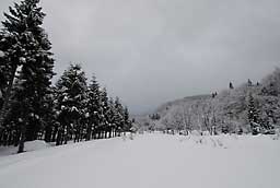 朝、大源太山は見えませんでした