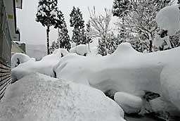 ２～３日雪がやんでくれるとうれしいのですが。(T_T)