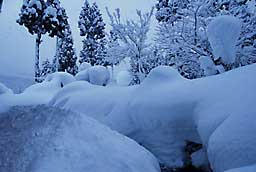 屋根の雪が落ちて凄いことになっています