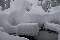 朝からすごい雪になってしまいました